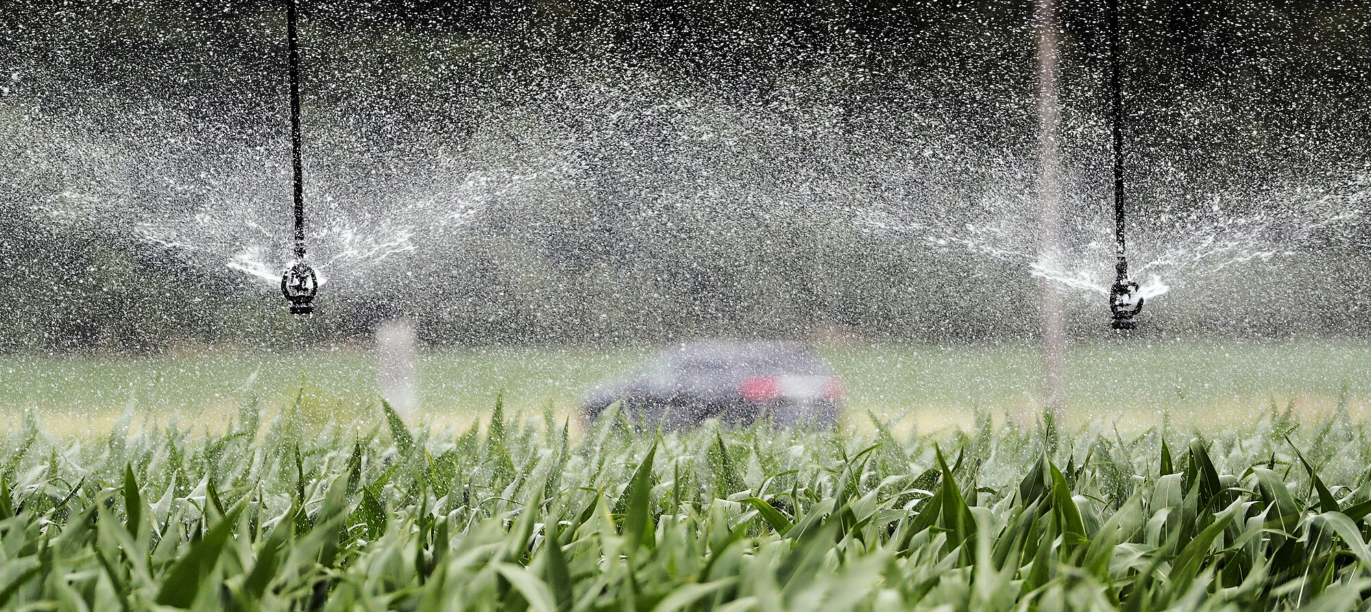 080520_AgPivotWater004_bjs.JPG